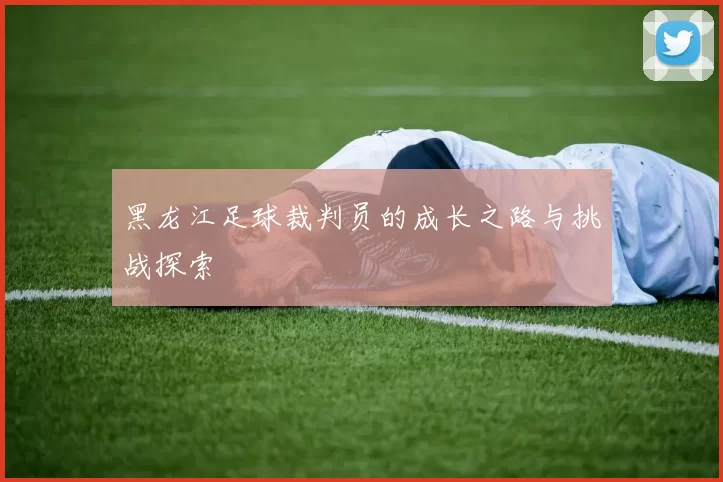 黑龙江足球裁判员的成长之路与挑战探索