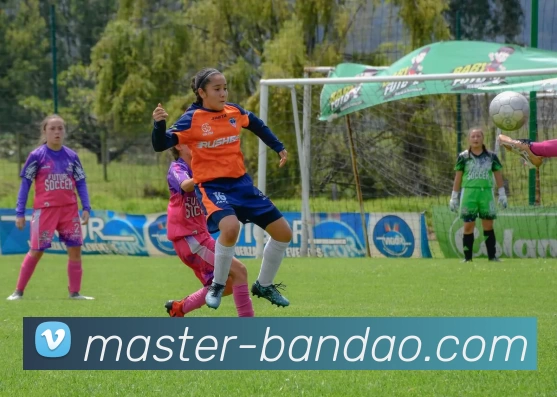 半岛体育平台生态图