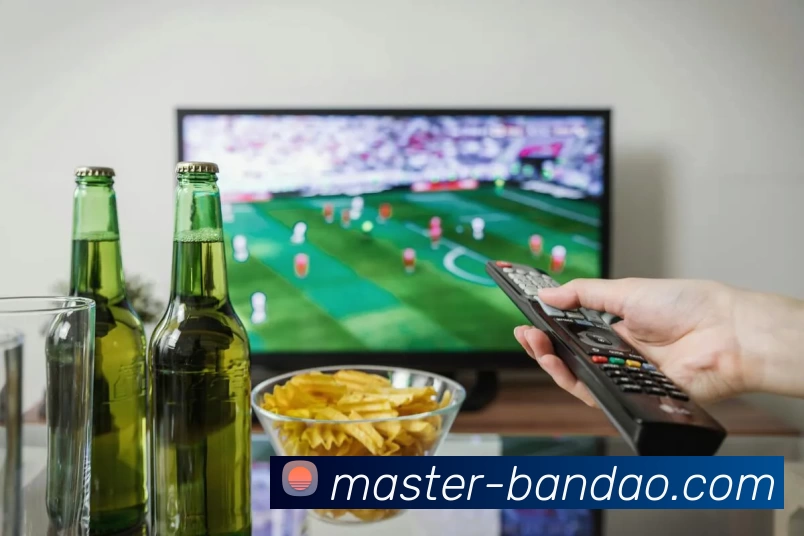 半岛体育全站App